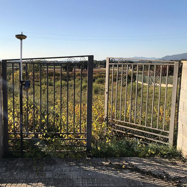 Segregación de Terrenos en la Selva